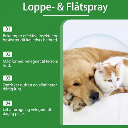 Naturlig loppe- og flåtspray til hunde og katte