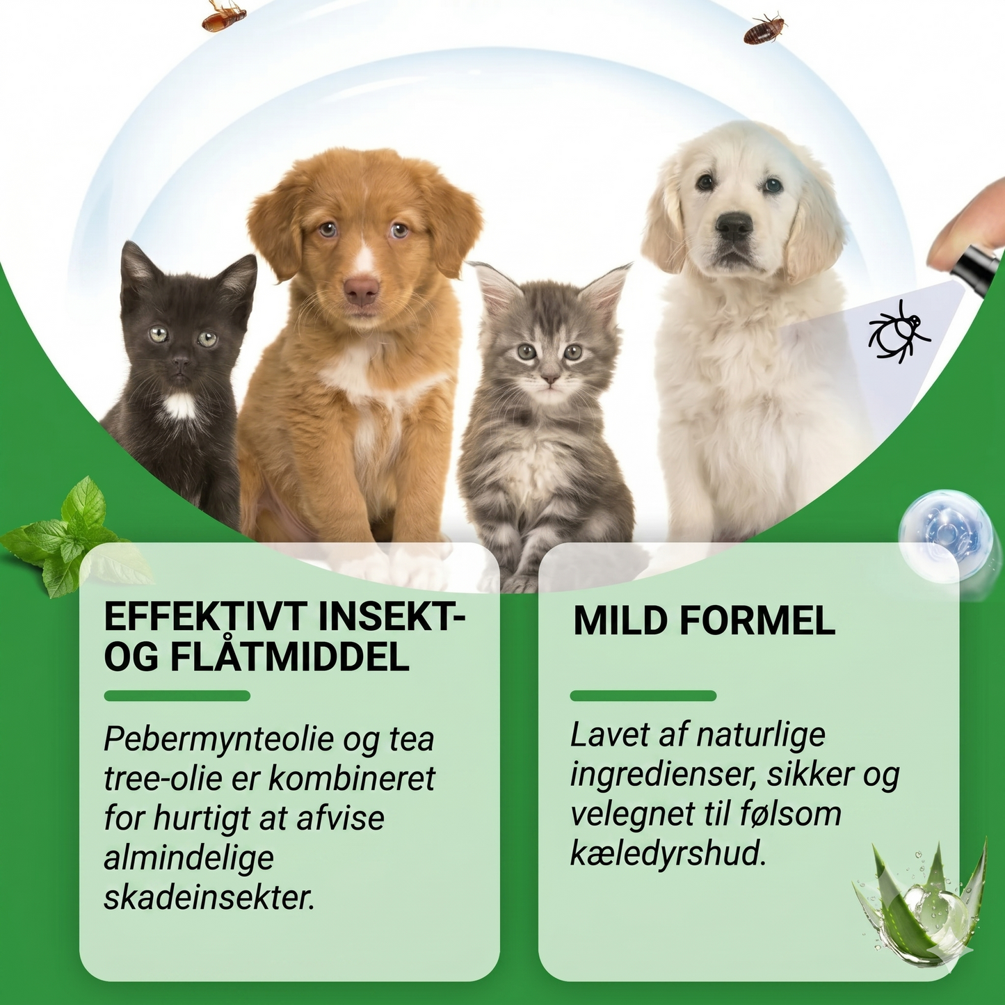 Naturlig loppe- og flåtspray til hunde og katte