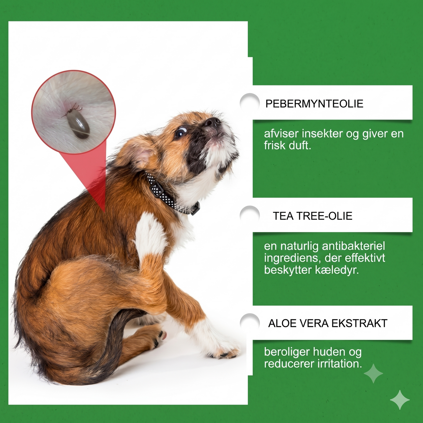 Naturlig loppe- og flåtspray til hunde og katte