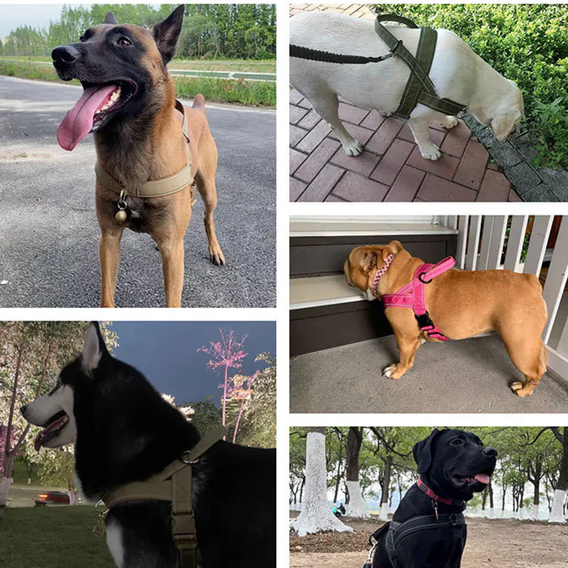 Robust taktisk hundesele med håndtag