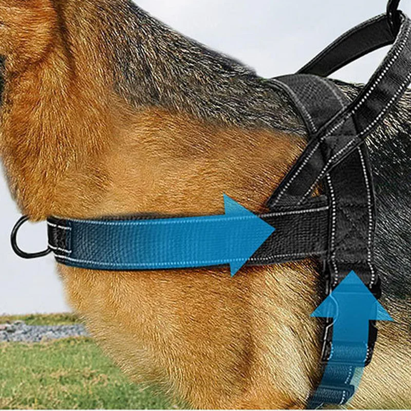Robust taktisk hundesele med håndtag